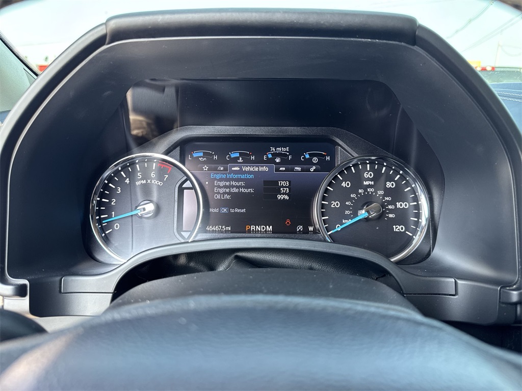 2021 Ford Expedition MAX Platinum photo 14