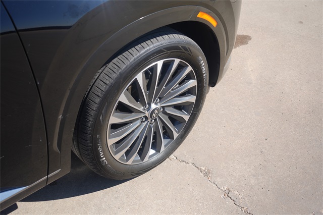 2024 Hyundai Palisade Calligraphy photo 8