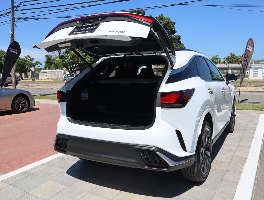 2025 Lexus RX 350 photo 23