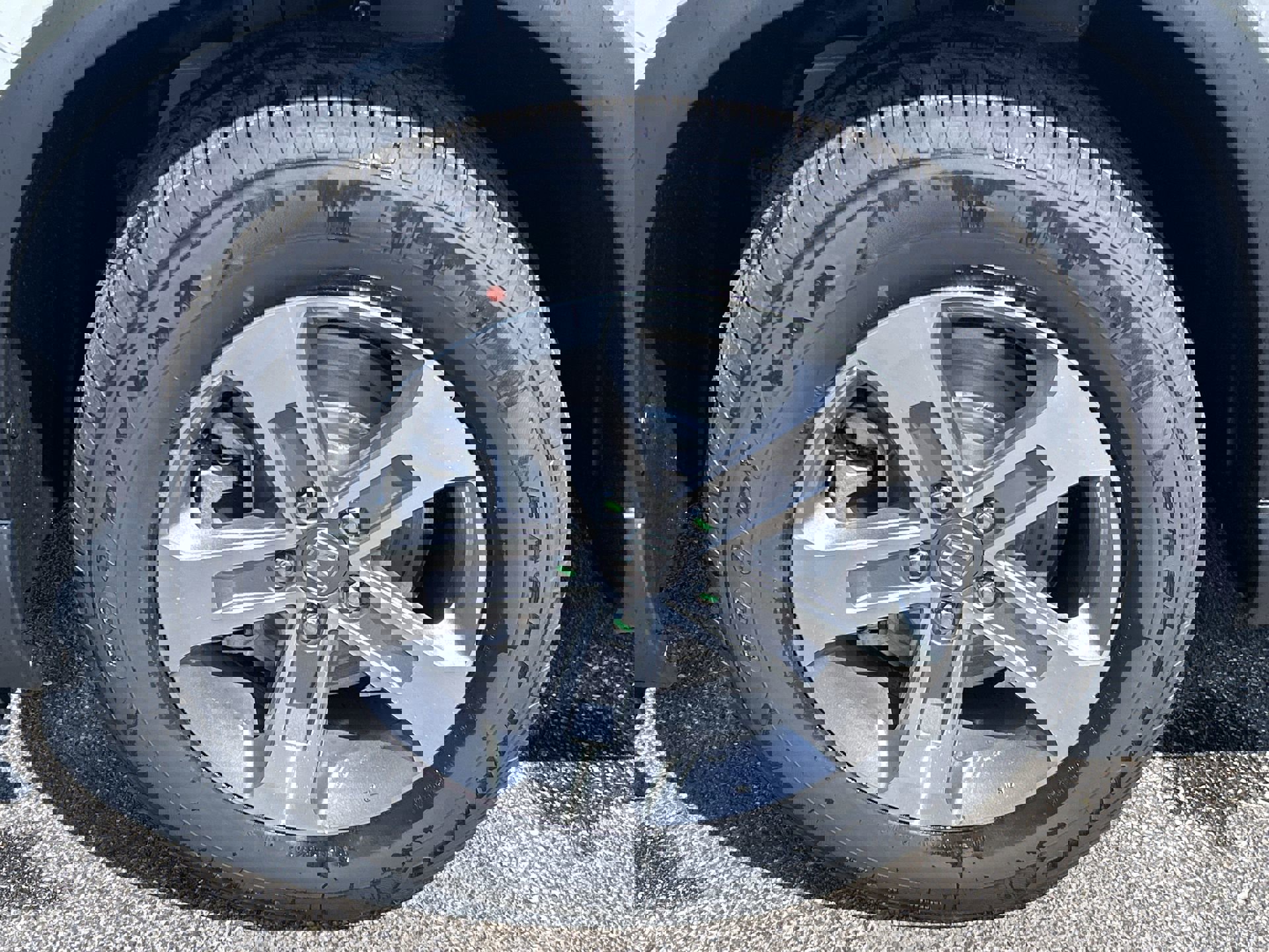 2025 Honda Pilot EX-L photo 10