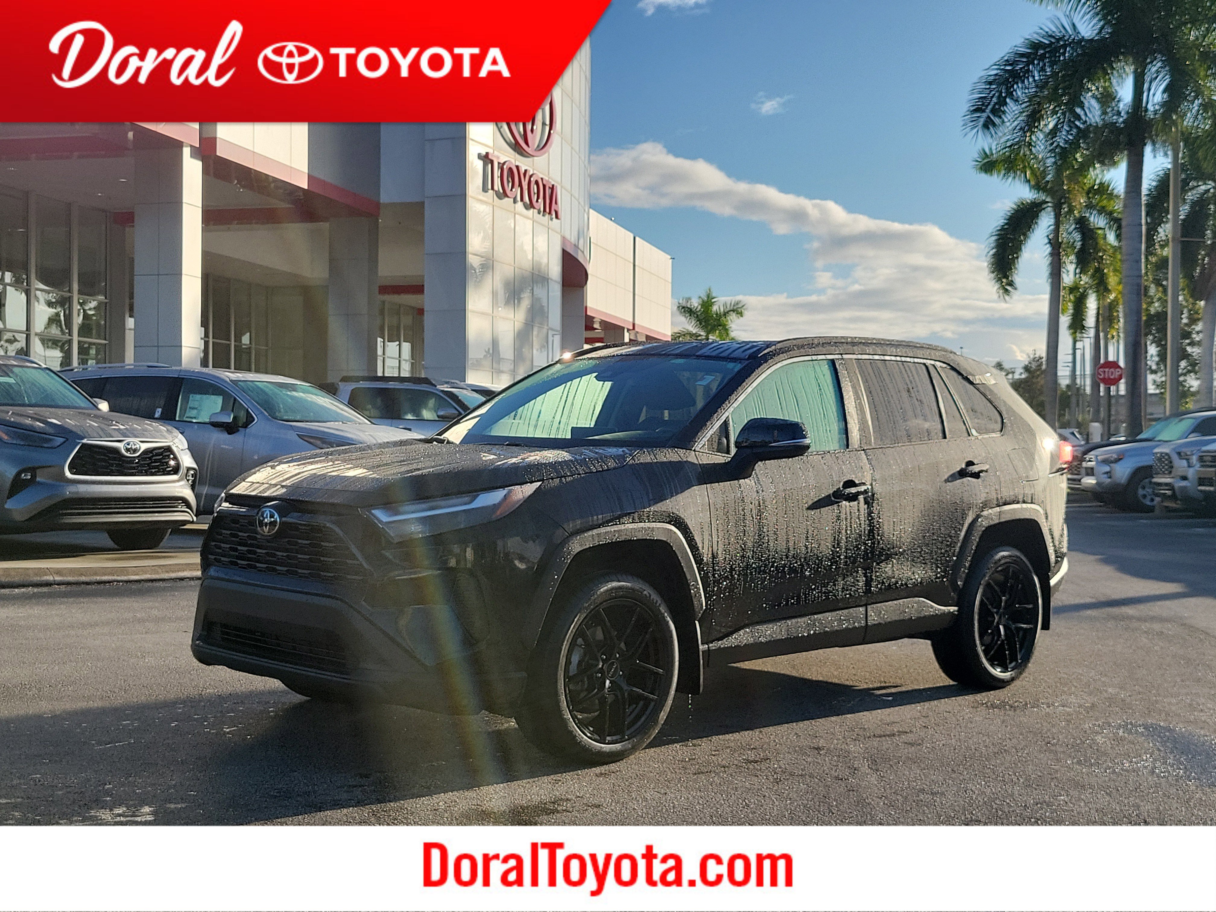 2024 Toyota RAV4 XLE's photo