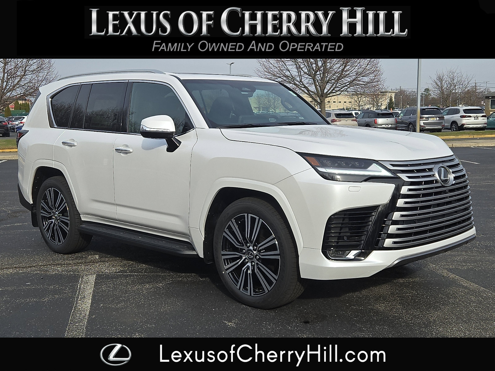 2025 Lexus LX Luxury's photo