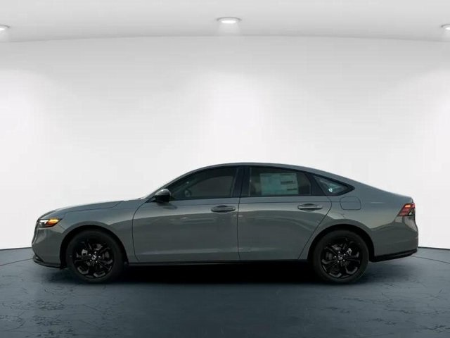 2025 Honda Accord 1.5T SE photo 3