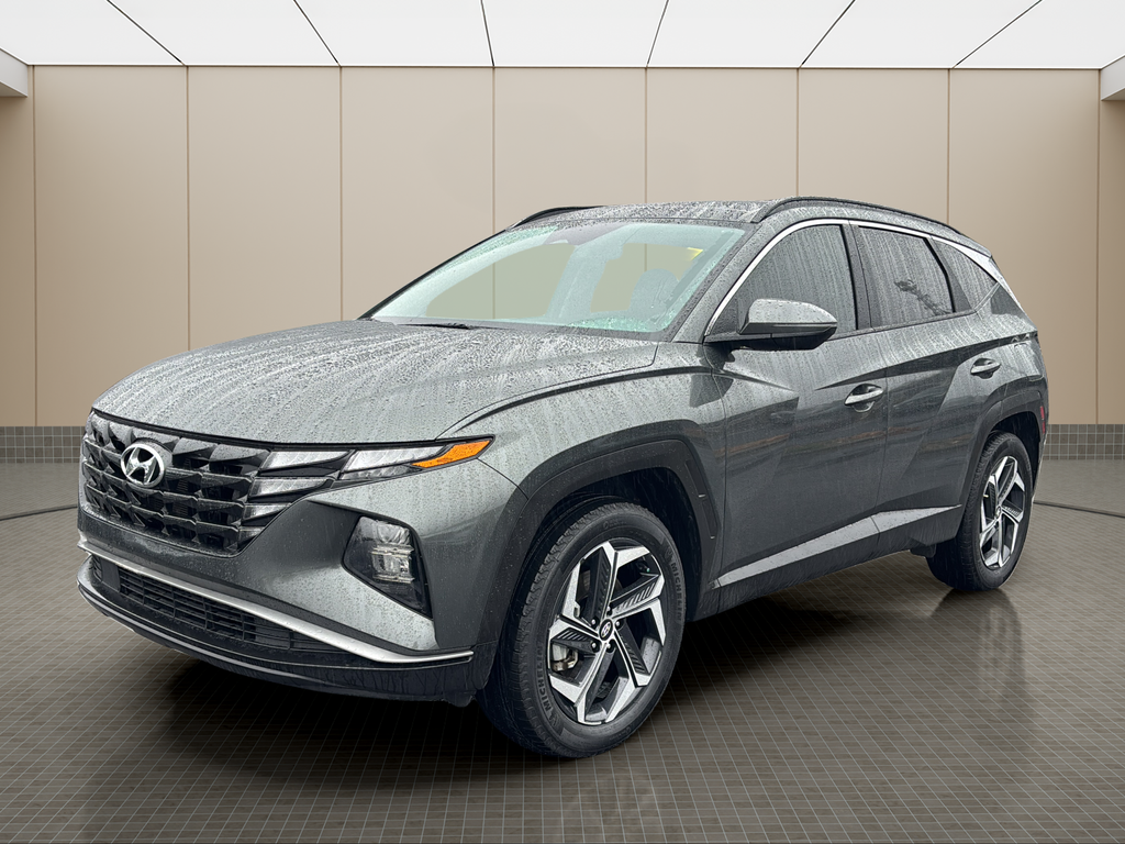 2024 Hyundai Tucson SEL Convenience's photo