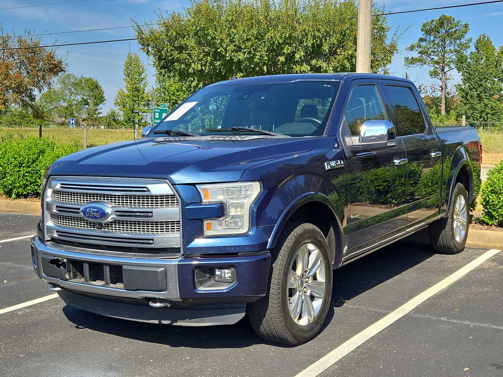 2016 Ford F-150 Platinum photo 3