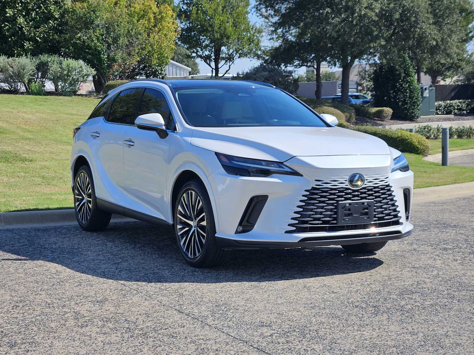 2023 Lexus RX Premium photo 2