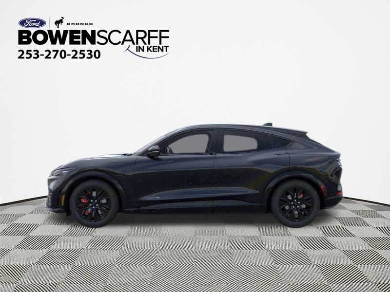 2025 Ford Mustang Mach-E Premium photo 3