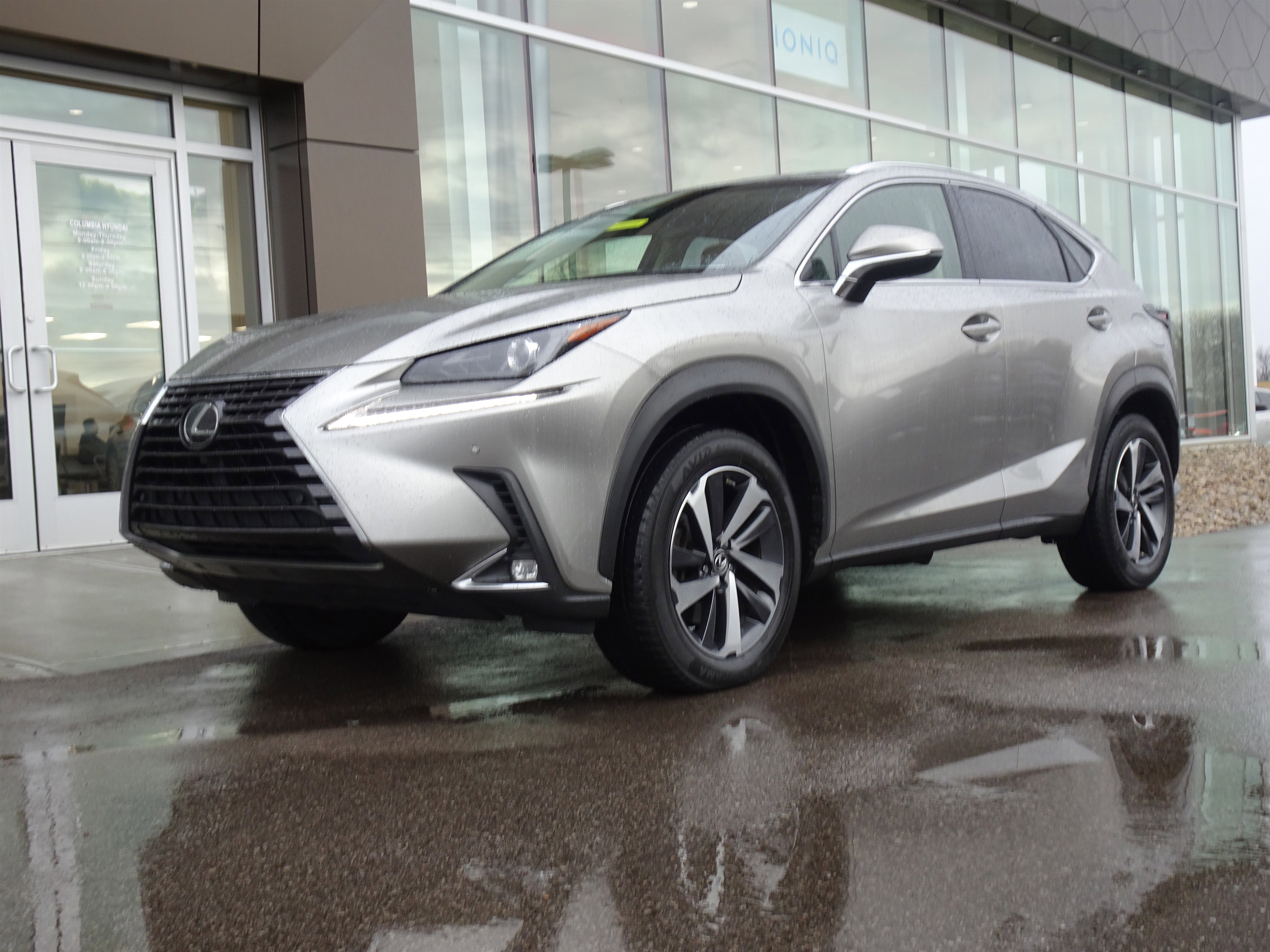 2019 Lexus NX 300's photo