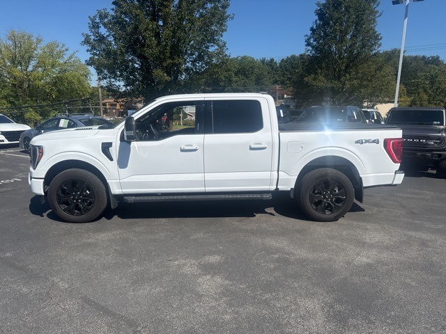 2023 Ford F-150 XLT photo 3