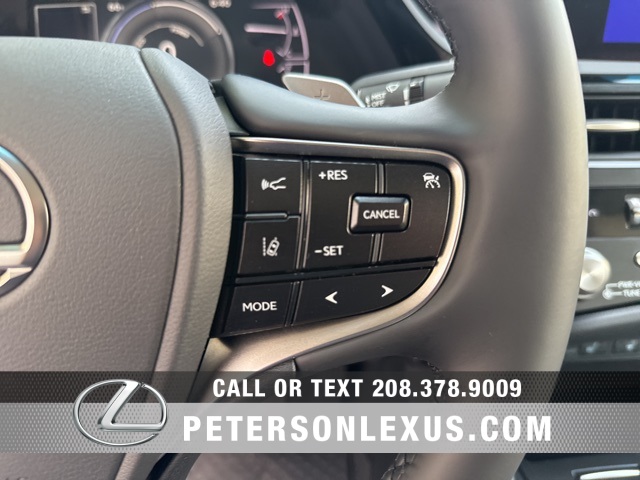 2025 Lexus ES 300h photo 24
