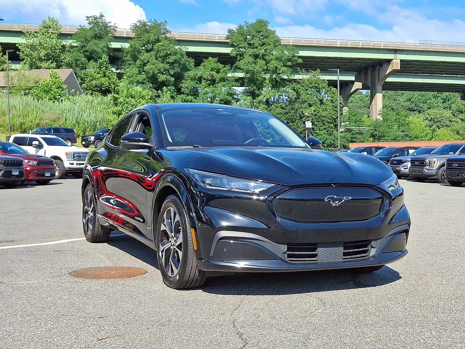2021 Ford Mustang Mach-E Premium photo 2