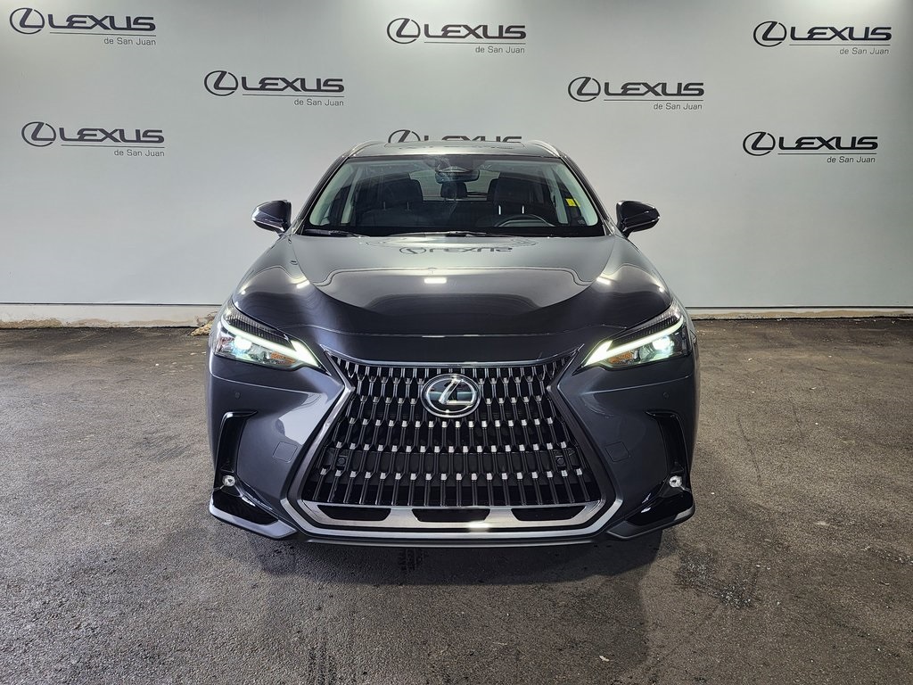 2025 Lexus NX 350 photo 2