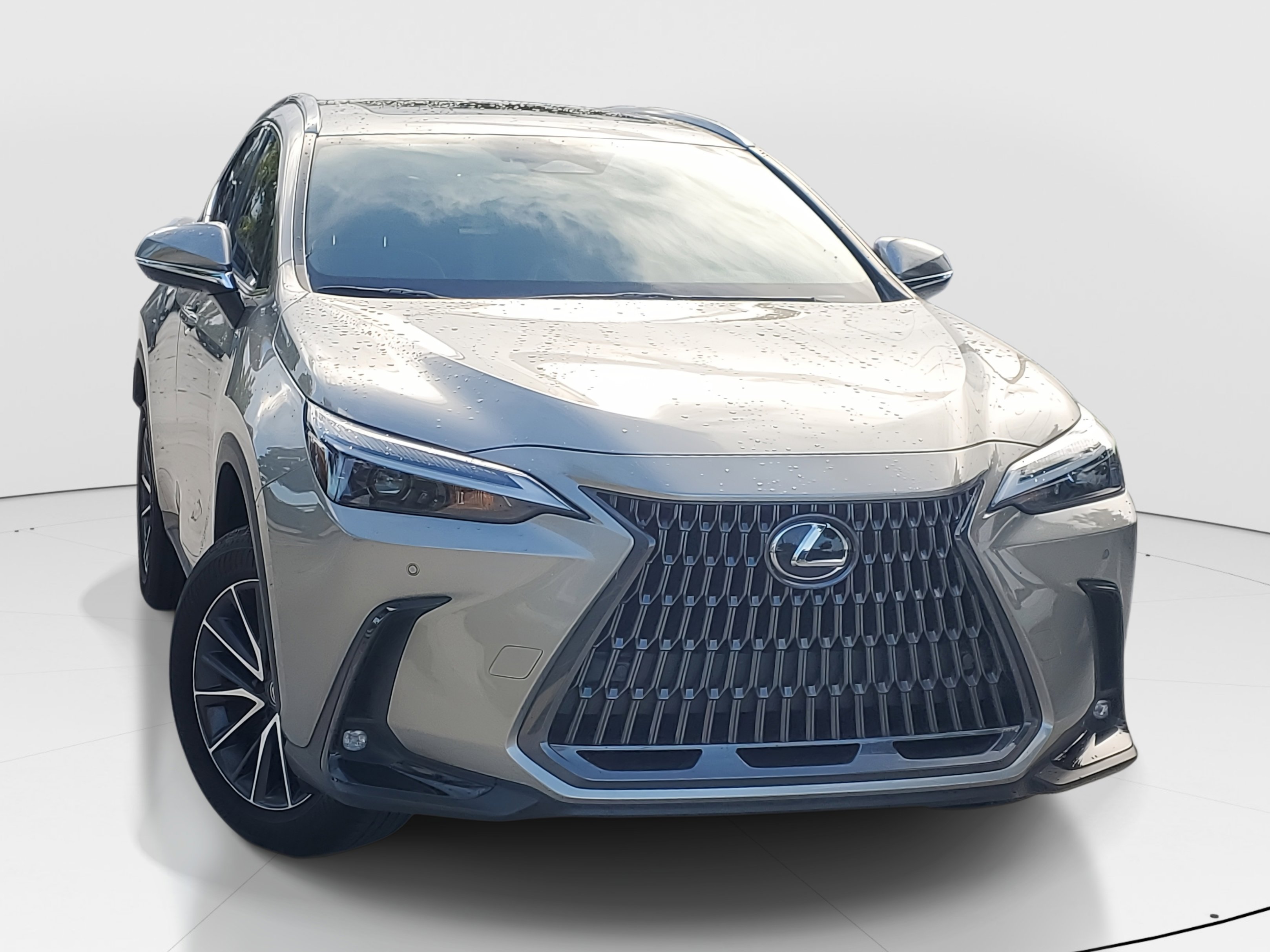 2024 Lexus NX 250 Premium photo 3