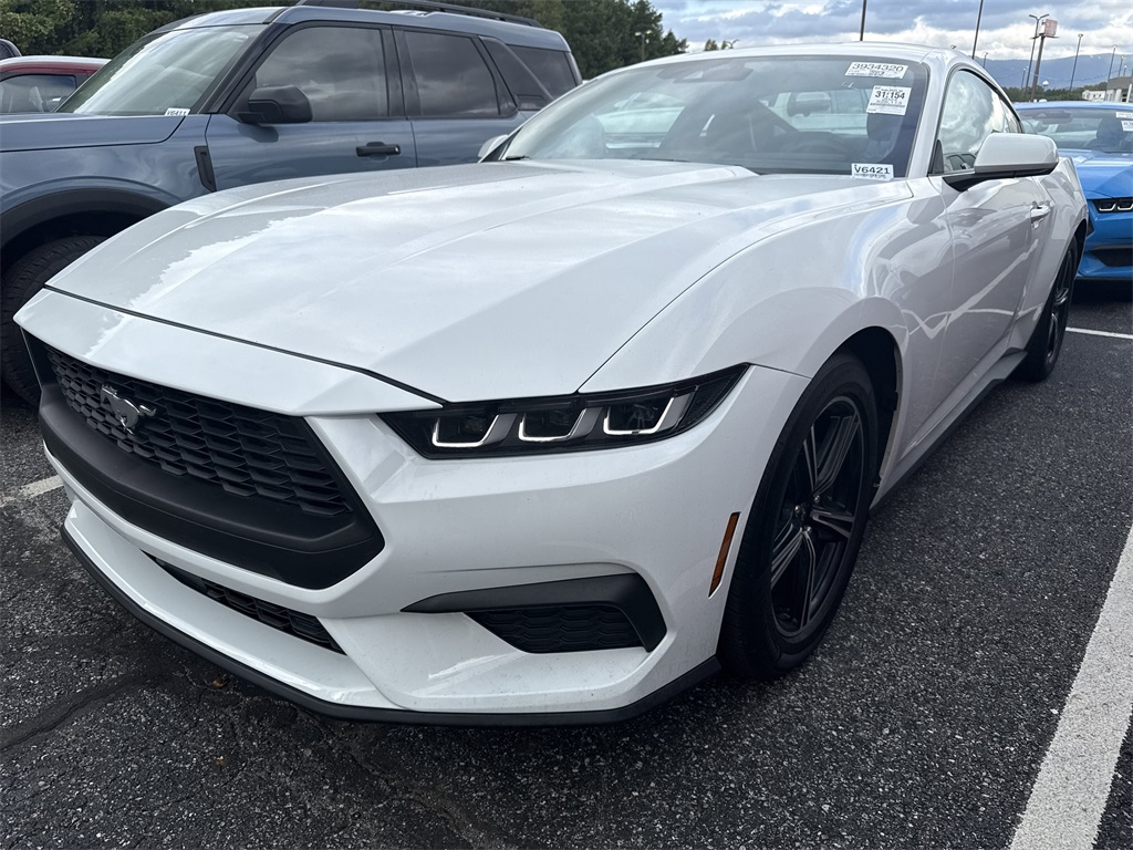 2024 Ford Mustang EcoBoost photo 3