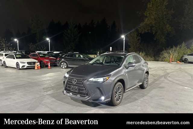 2025 Lexus NX 350's photo