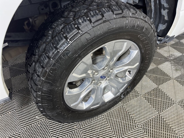 2021 Ford F-150 Platinum photo 4