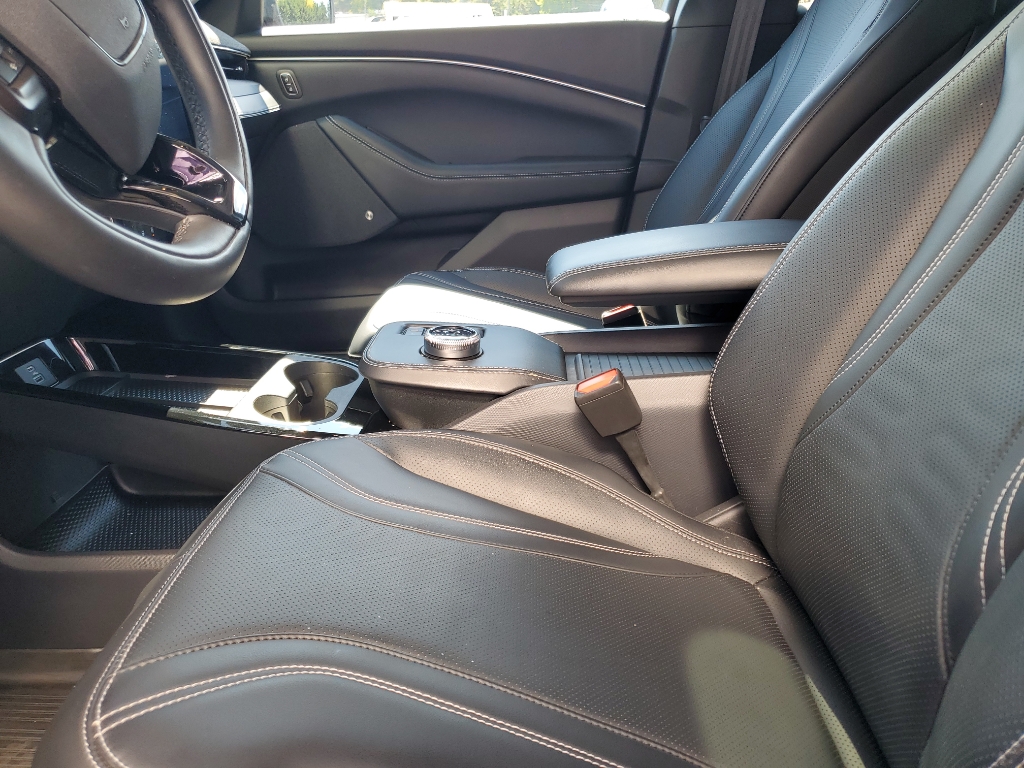 2021 Ford Mustang Mach-E Premium photo 10