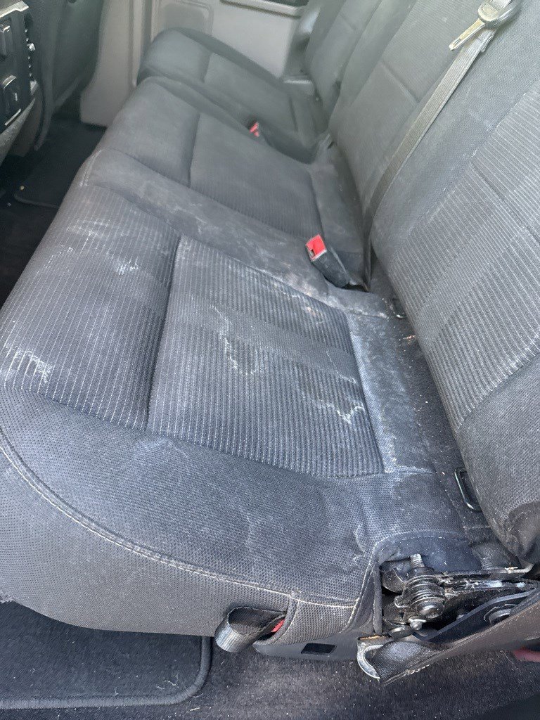 2019 Ford F-150 XL photo 3