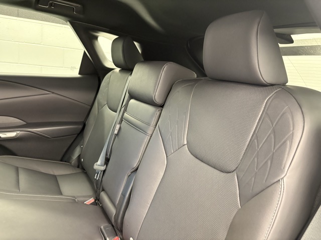 2024 Lexus RX 350h photo 18
