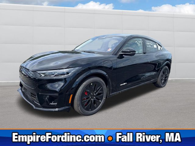 2025 Ford Mustang Mach-E Premium AWD's photo