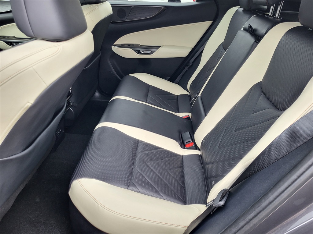 2024 Lexus NX 350h Luxury photo 13