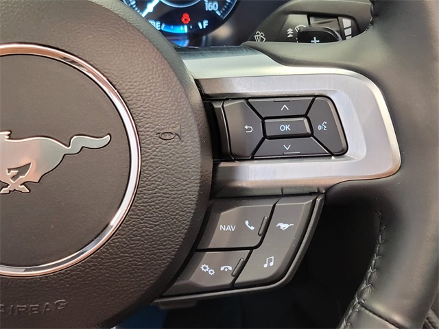 2021 Ford Mustang GT Premium photo 20