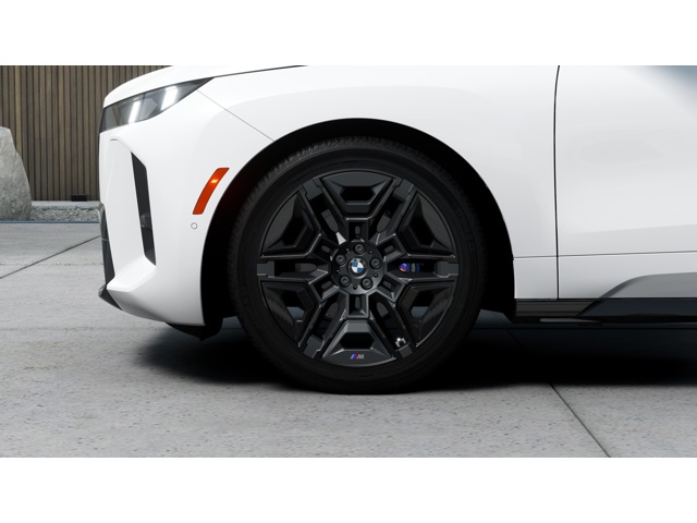 2026 Bmw iX photo 5