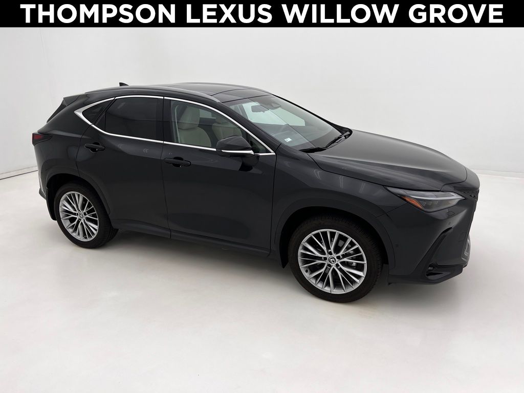 2025 Lexus NX 350 Luxury photo 2