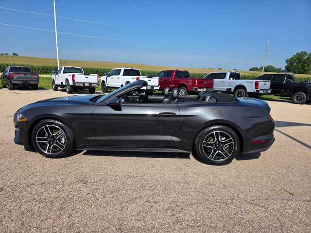2023 Ford Mustang EcoBoost Premium photo 34