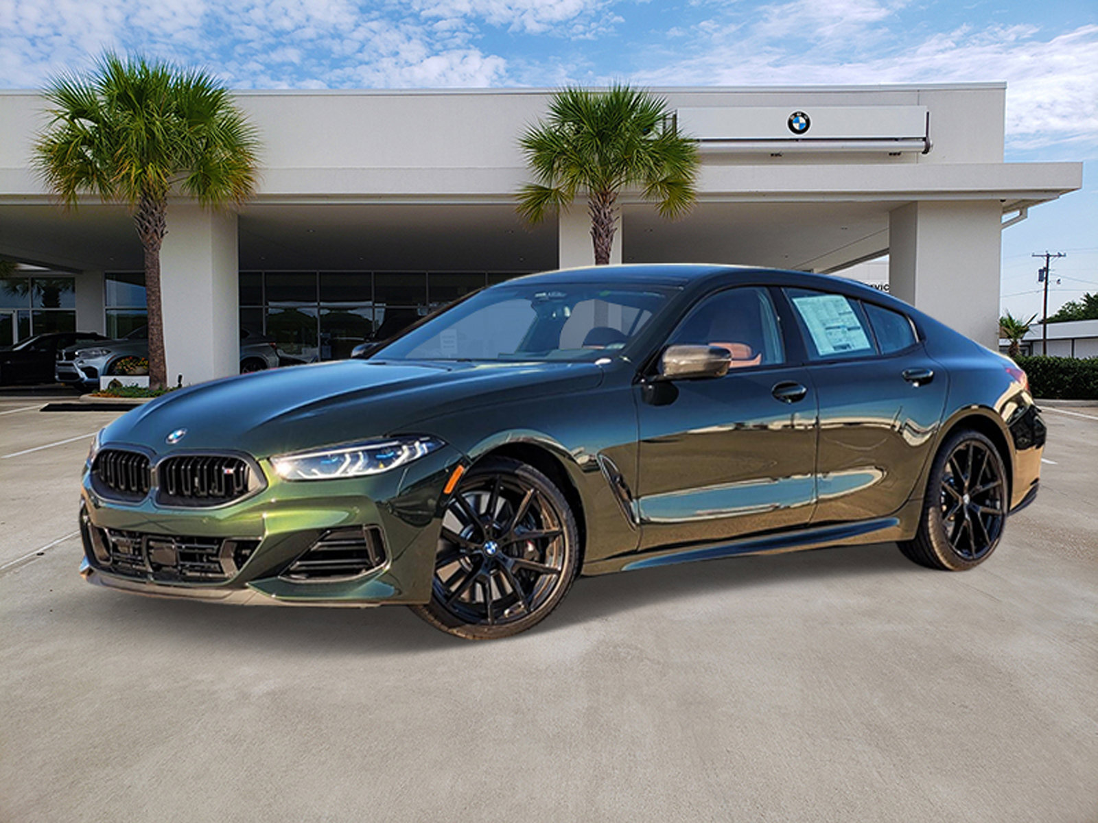 2026 BMW 8 Series M850i's photo