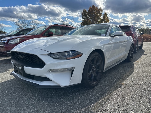 2019 Ford Mustang EcoBoost's photo