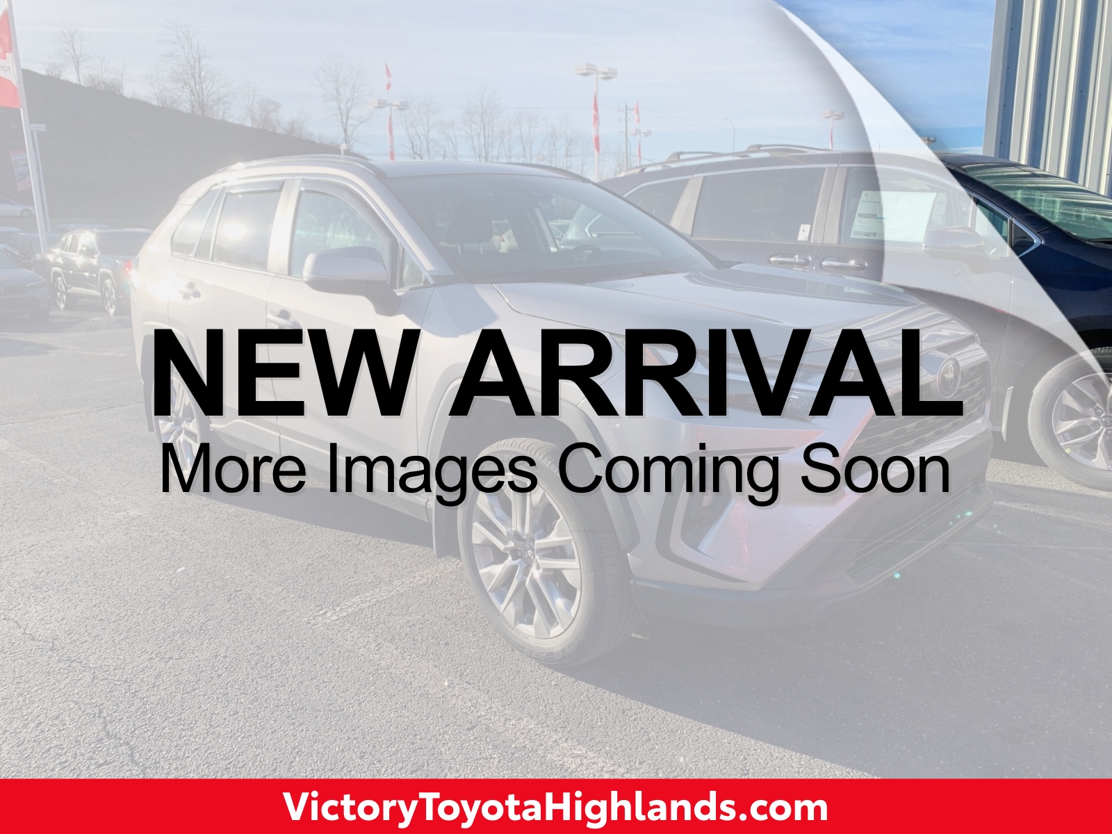 2024 Toyota RAV4 XLE Premium's photo