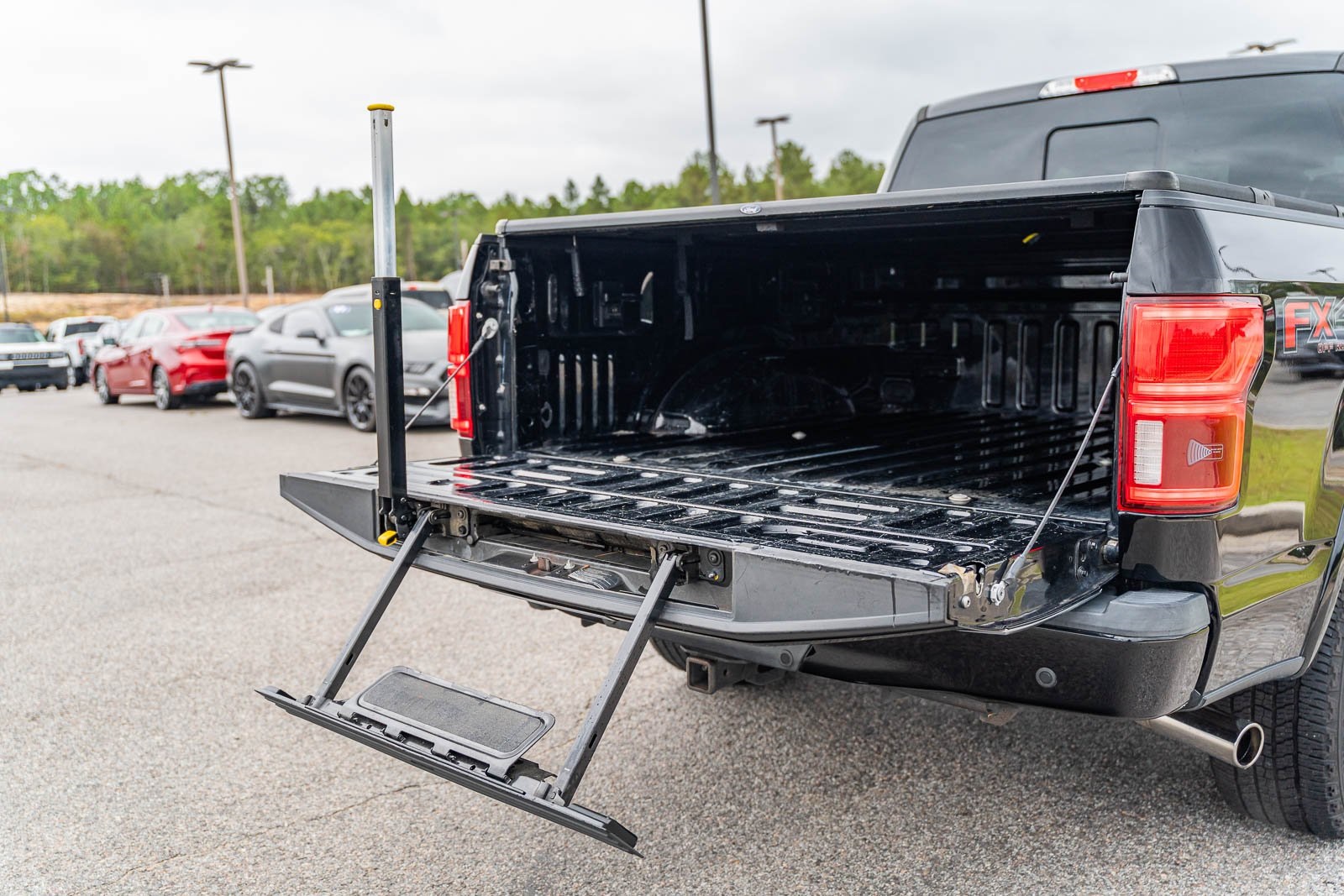 2018 Ford F-150 Platinum photo 15