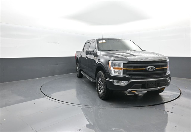 2022 Ford F-150 Tremor's photo