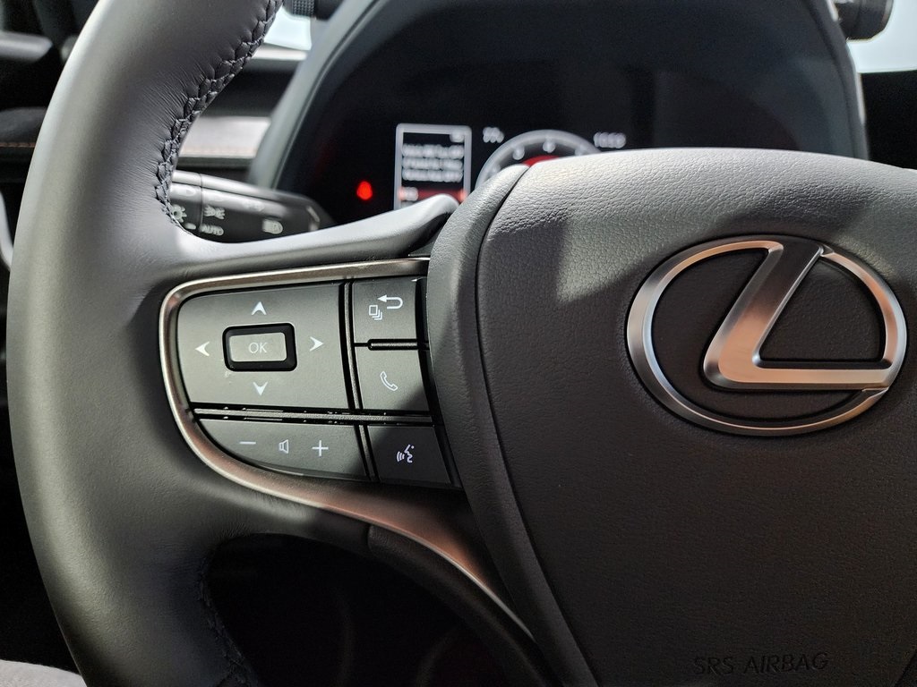 2025 Lexus UX photo 3