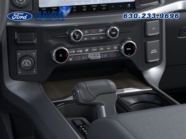 2025 FORD F-150 - Image 15