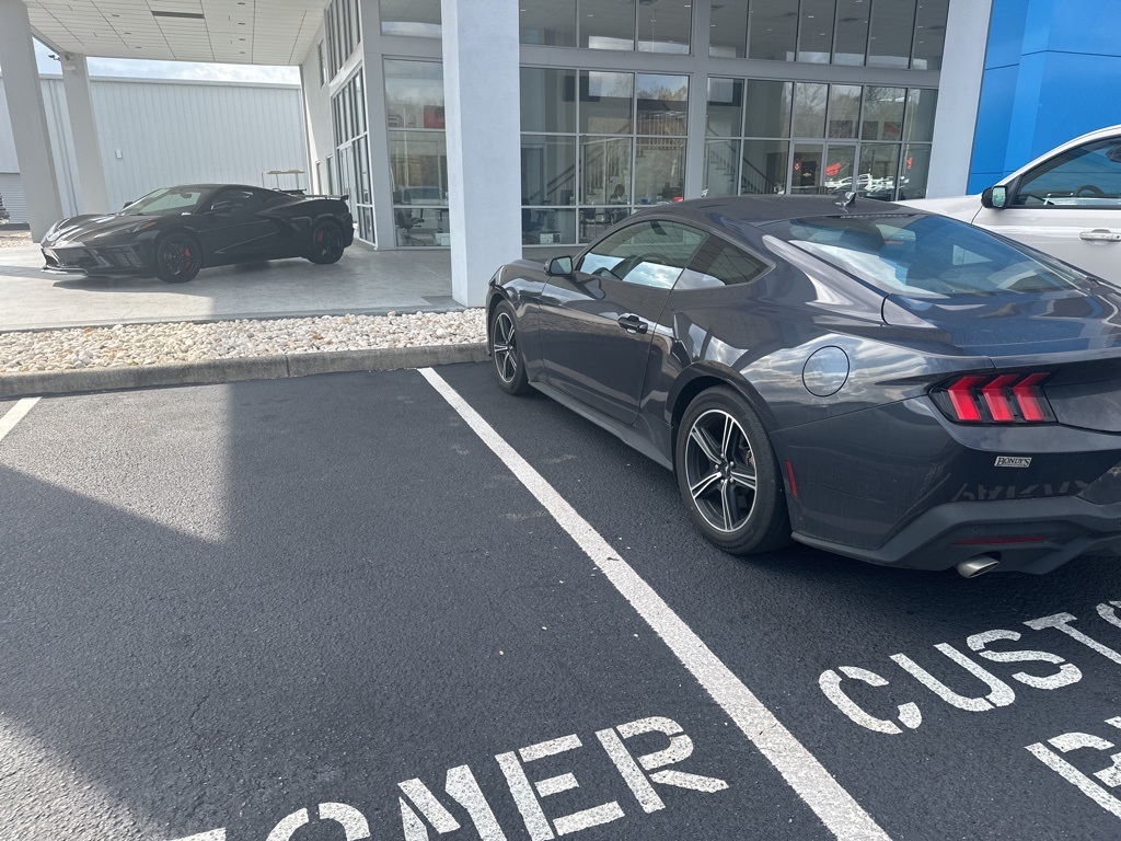 2024 Ford Mustang EcoBoost photo 4