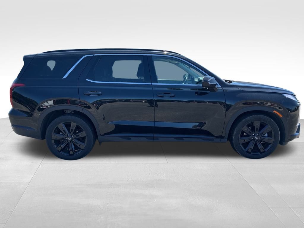 2024 Hyundai Palisade XRT photo 6