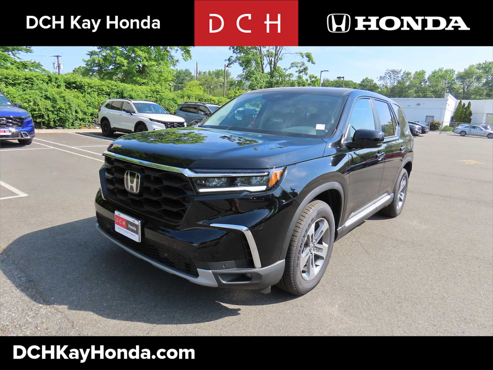 2025 Honda Pilot EX-L's photo