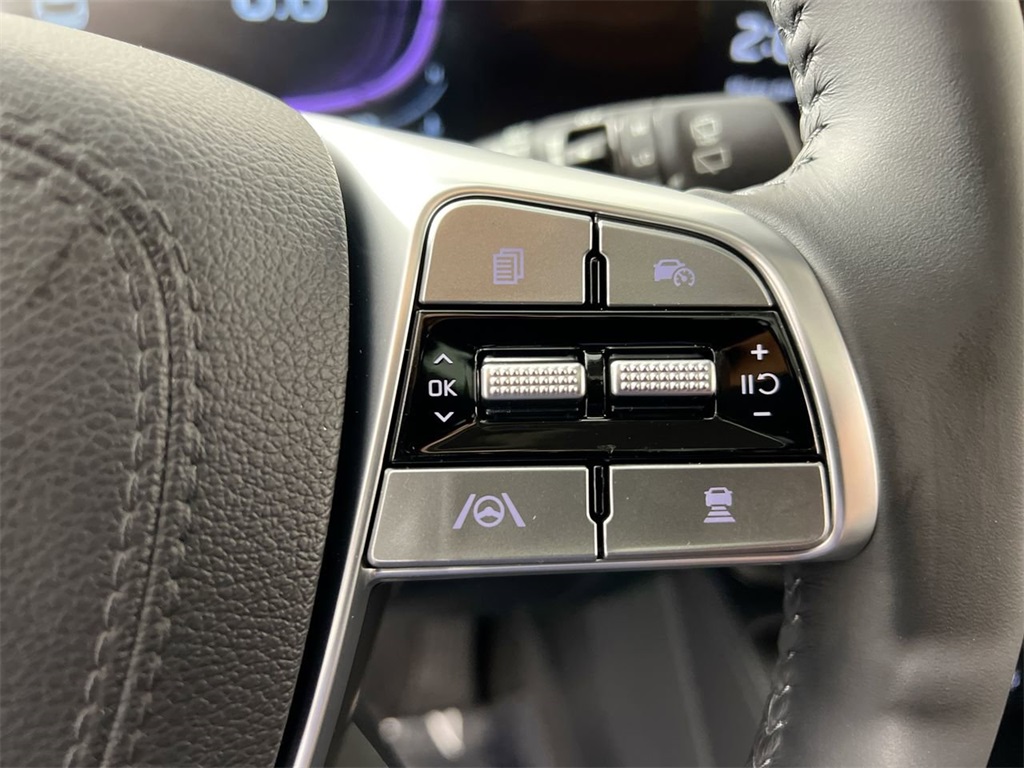2025 Kia Telluride EX photo 16
