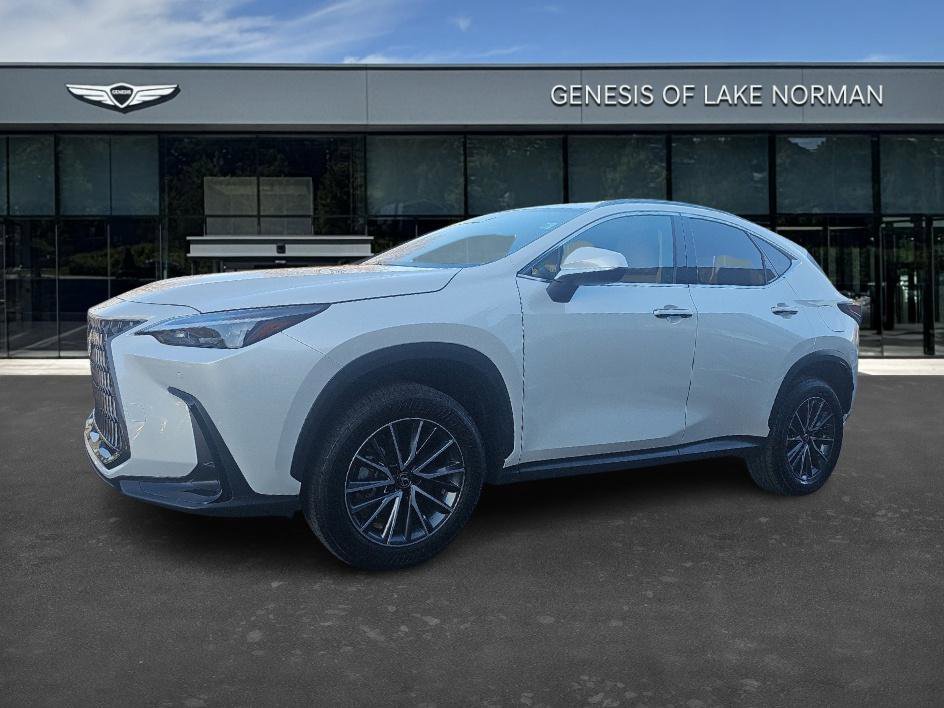2024 Lexus NX Hybrid 350h's photo