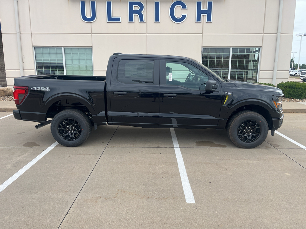 2025 Ford F-150 STX photo 10