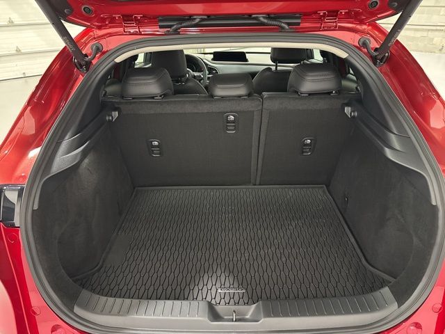 2025 Mazda CX-30 2.5 Turbo Premium Plus photo 11