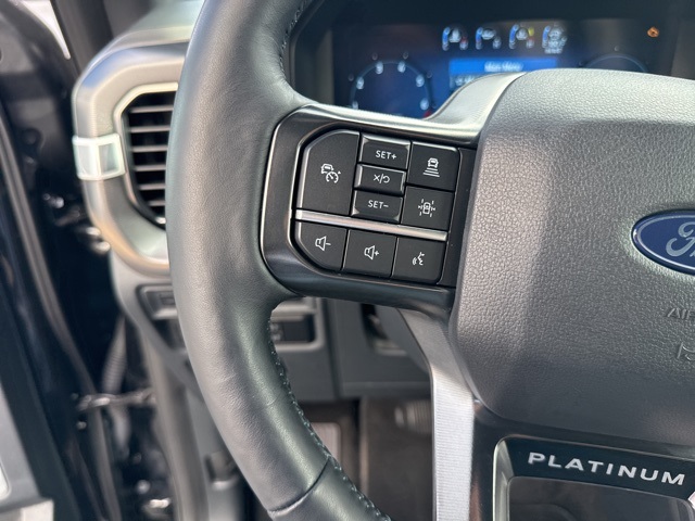 2024 Ford F-150 Platinum photo 13