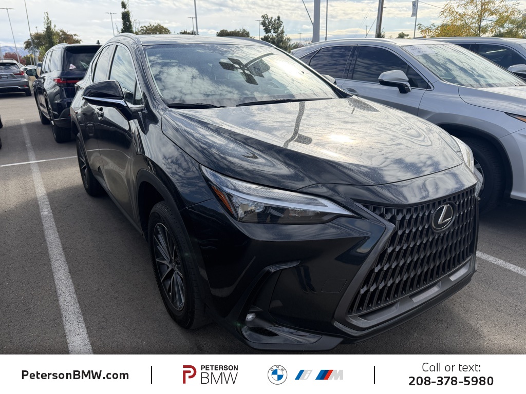 2024 Lexus NX 350h photo 2