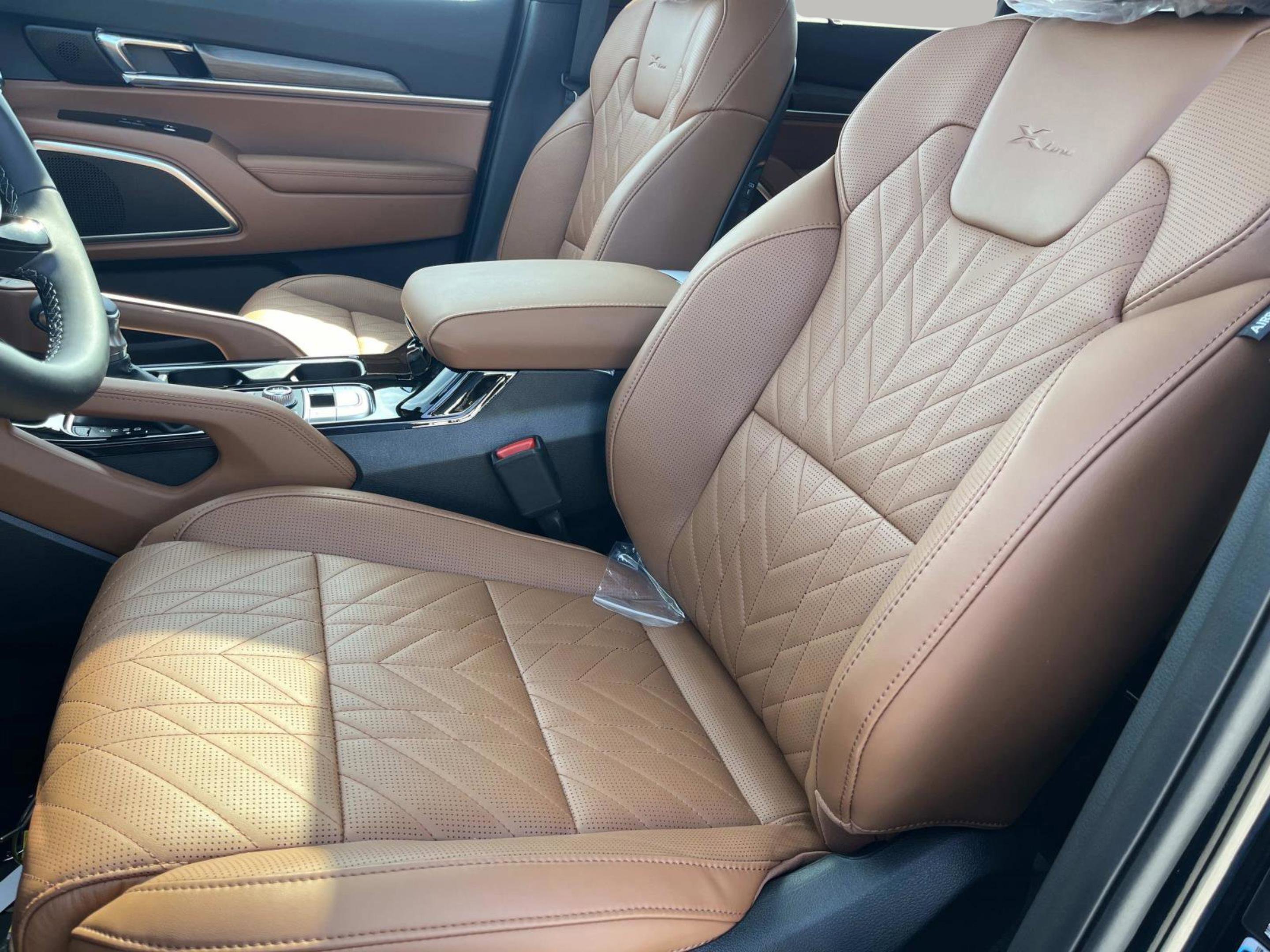 2025 Kia Telluride SX Prestige X-Line photo 25
