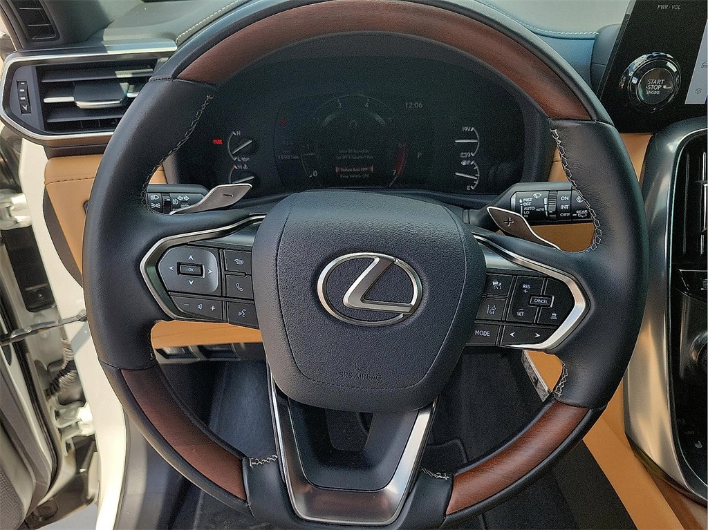 2024 Lexus LX 600 Luxury photo 14