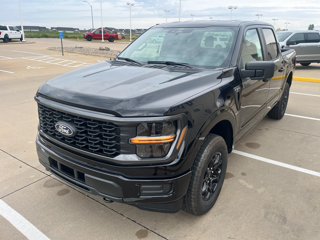 2025 Ford F-150 STX photo 3
