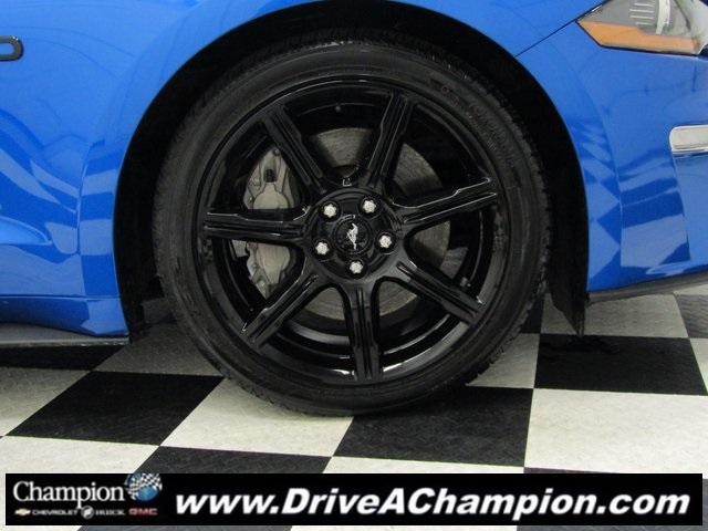 2019 Ford Mustang GT Premium photo 4