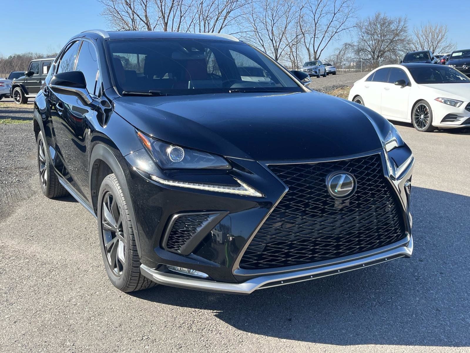 2020 Lexus NX 300 F SPORT's photo